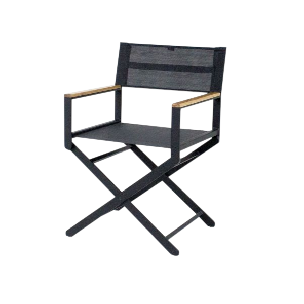 Poltrona Diretor - <p>Balanço com estrutura em alumínio e madeira, revestimento em tela sling.</p>
